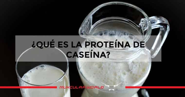proteína de caseína