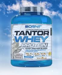 Scenit Tantor Whey 2.2 kg